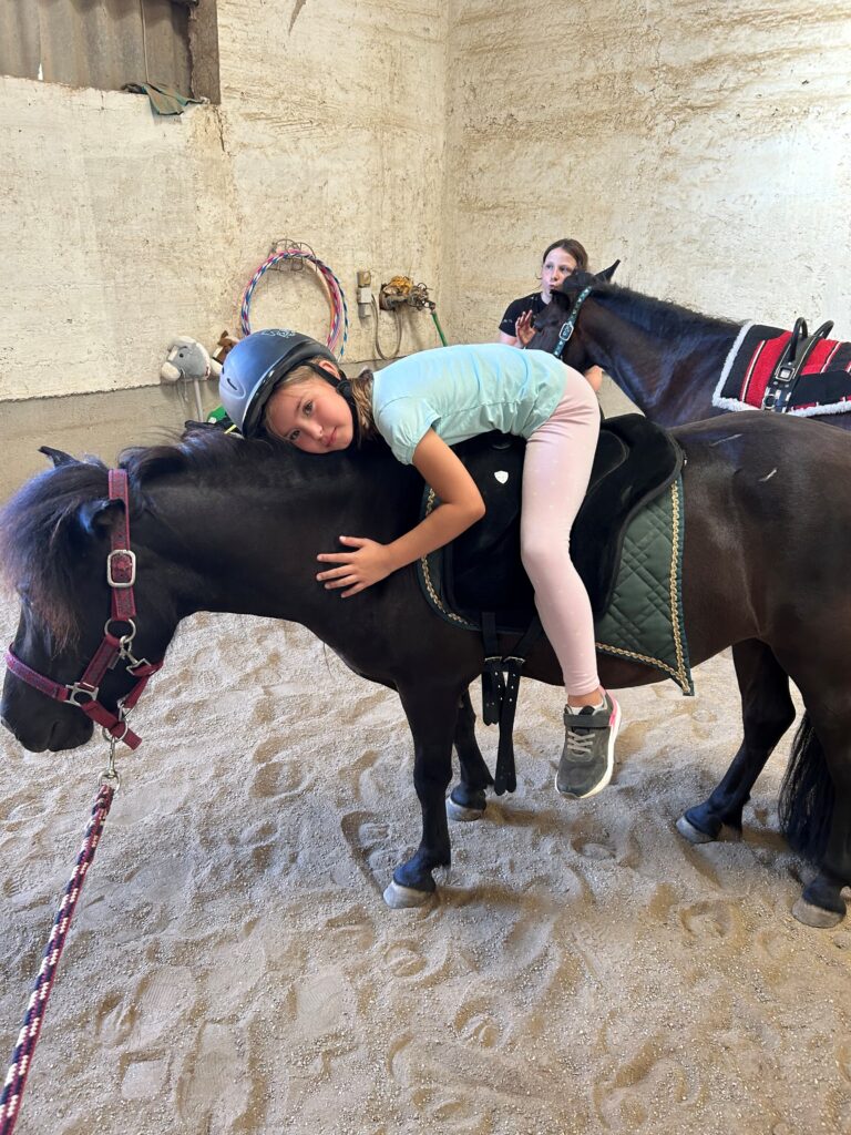 horse alexa top2